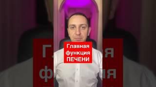 Главная функция печени #печень #гепатоз #гепатозпечени #жировойгепатоз
