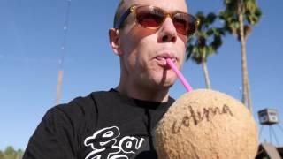 VEGANFATKID 1MIN SERIES - Vegan Coachella - Day 2 with @EATDRINKVEGAN