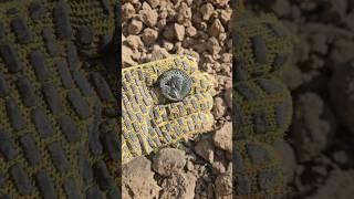 Дуже Рідкісні знахідки #metaldetecting #коп #история #видео #metaldetector #history