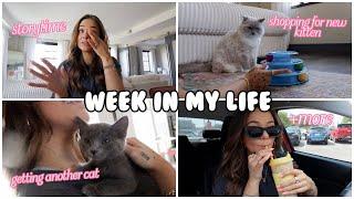 WEEK IN MY LIFE | STORYTIME: what really happened to Travis, looking at kittens + more