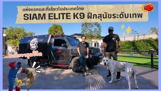 (FULL) Siam Elite K9 ฝึกสุนัขระดับเทพ ! | Pet Lover by Jerhigh Ep.5