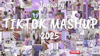 Tiktok Mashup January 2025 (Not Clean)