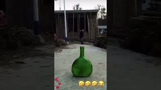 شوخی خرکی