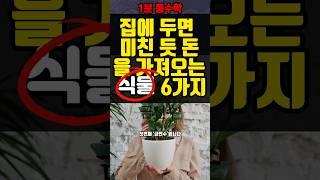 부자들만 몰래 키운다는 이 식물 집안에 두면 미친 듯 돈을 가져오고 빌려줍니다. 돈이 되는 부자식물, 식물 풍수 인테리어#shorts