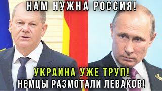 ️Мы воевать за Украину не будем! Немцы жёстко высказались за переговоры с Россией -Шольц в ступоре