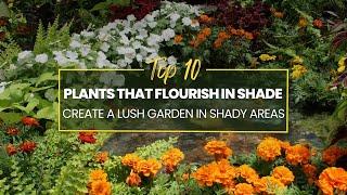 10 Plants That Flourish in Shade | Create a Lush Garden in Shady Areas 