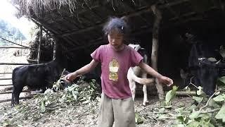 Nepali village || Cooking meat and meat vegetables in the village