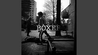 Boxer