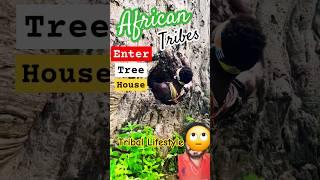 Hadzabe tribals enter the tree  House  #hadzabetribe #tribal #africa #shorts