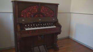 Musicologia, presto in mostra le tante vite dell'harmonium