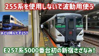 【255系はどこへ？】新宿さざなみに初めて充当されたE257系5000番台