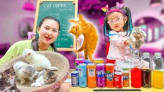 Changcady và quán cafe mèo mới mở của em Cam Cam, trải nghiệm ôm mèo đầy thích thú