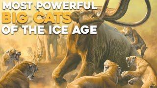 10 Most Powerful Wild Cats of The Ice Age