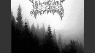 Dunkelheit - Never see the Light again