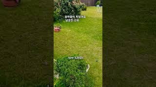 #남궁진-엄마꽃이 피었어요#신곡