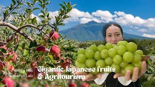 TOKYO VLOG | Gigantic Japanese Fruits & Agritourism