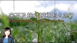 来不及报税怎么办？If you cannot file your tax return on time (A1110)