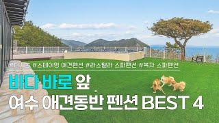 여수 애견동반 펜션 BEST 4 | 여수 바다 바로 앞, 반려동물과 같이 갈 수 있는 오션뷰 펜션 모음 | 다시봄, 스테이멍, 라스텔라 스파펜션, 복자 스파펜션