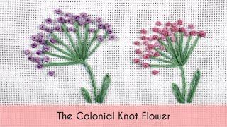 The Colonial Knot Flower | Hand Embroidery Tutorial for Beginners