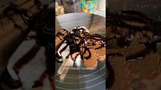 Welcome to the world of Frozi️ #frozi #shorts #icecream #food #frozentreat #dessert #frostice