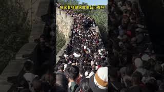 国庆节长城现状丨在家看收藏家的故事会不香吗丨【底层互害】 #底层互害