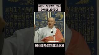 해인사 용맹정진 때 내려온 어명  #진리 #깨달음 #선수행 #해인사 #용맹정진
