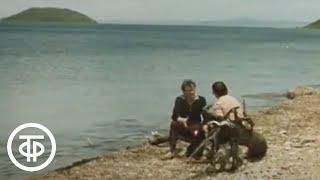 Велик ли Тихий океан? (1984)