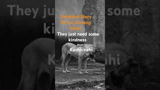 Untold story of a Unsung hero !! #inspiration #petlovers #animallover #unfoldstory #straydoghero
