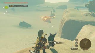 Korok impressed by Link's Trick Shot on Molduga