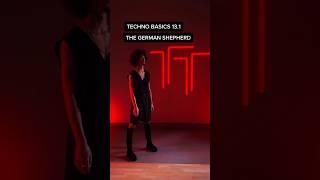 #TechnoTeam #Techno #Basics 13.1 #German #Shepherd #Dance #Music #Rave #Club #Fashion #Community