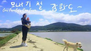 Growing Our Own Rice (Family Rice Farm) 모내기철 강화 큰댁에 방문했어요.
