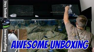 Unboxing New African Cichlids | Peacocks and Haps | From THE CICHLID SHACK