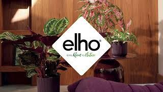 elho winery collection