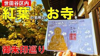 【神社仏閣ひとり旅】紅葉の世田谷区を御朱印巡り[御朱印500名印(No.377～379)]