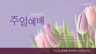 [김포더은혜교회] 4월 27일 주일 2부예배
