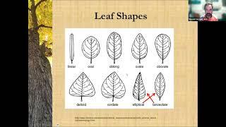 Tree Identification: TreeSteward Training Sept. 19, 2023