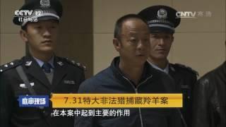 7.31特大非法猎捕藏羚羊案【庭审现场  20170603】