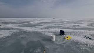 Руки болят от такого клёва. Капчагайское водохранилище