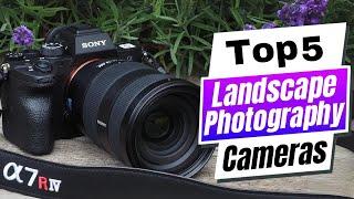 Best Cameras for Landscape Photography 2024 [Beginners and Professionals]