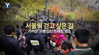 서울에서 걷는 재미에 빠지다…서울트래킹 5곳