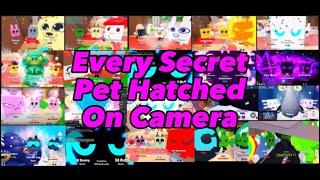 Every SECRET Pet Hatched On Camera in Bubble Gum Clicker