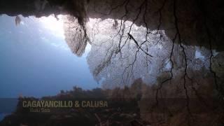 Cagayancillo and Calusa