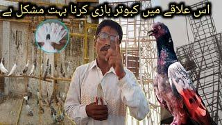 نہ چھیڑو ہمیں ہم ستائے ہوئے ہیں - Apna Shok apni pachan - Nasir pigeon club - Khokhar pigeon club