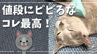 ファーミネーターにとろけるかわいい猫【ロシアンブルー】