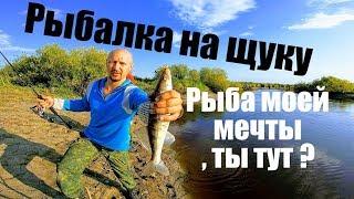 To Siberia for a predator Pike in September Fishing for a sinning Fishing 2019FishingforapikeFishing