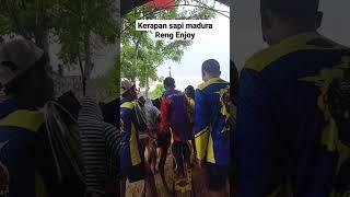 Kerapan Sapi Madura || Team RENG ENJOY