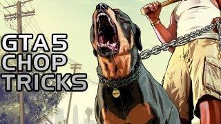 GTA 5: Teach Chop Tricks Walkthrough