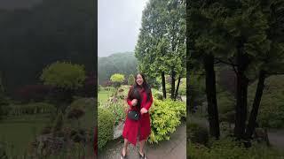 Hello Korea!