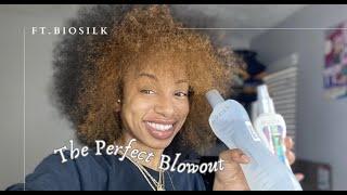 THE PERFECT BLOWOUT | FT. BIOSILK | LOOK WHAT HAPPENED!