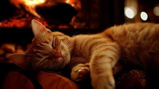 Cute purring cat and burning fire ASMR for sleep